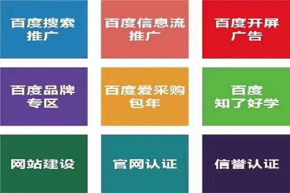 百度竞价代运营公司成功案例揭秘：策略与执行
